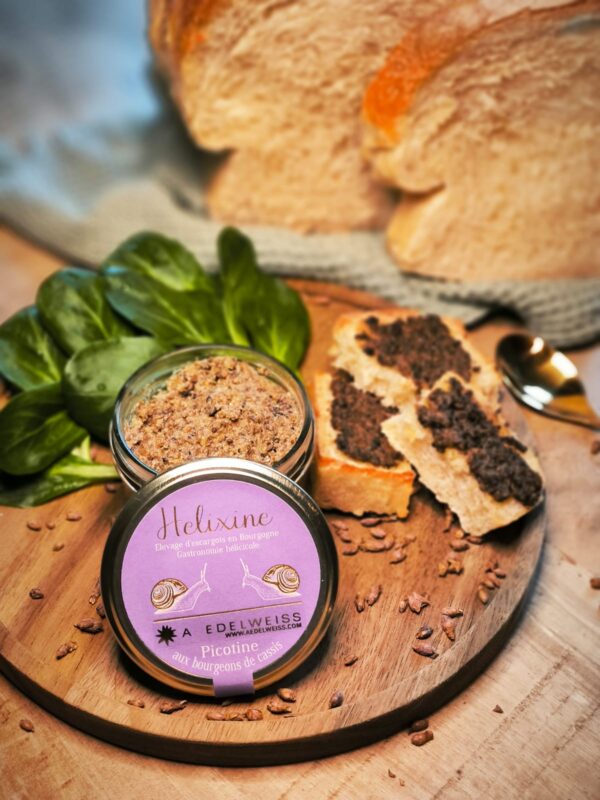 Picotine aux bourgeons de cassis