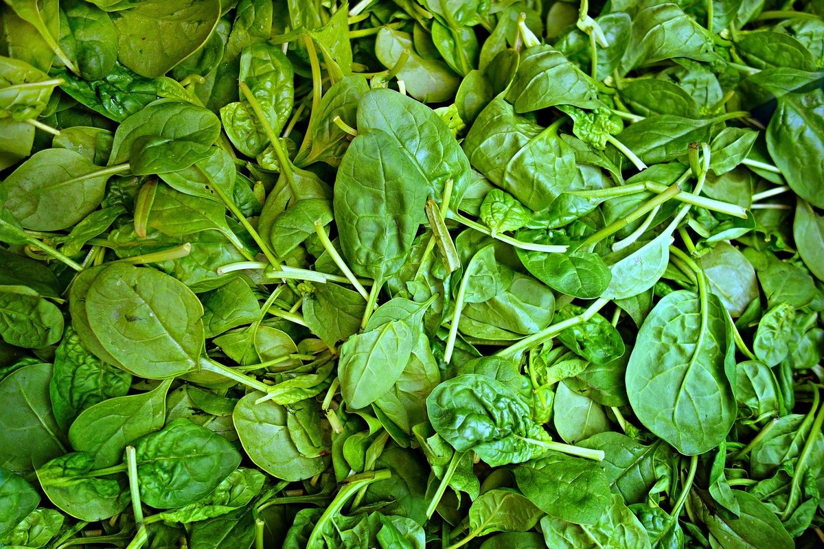 Quels aliments riches en fer contre la carence ?